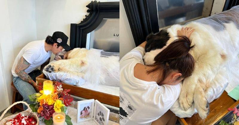 Instagram.com/andreadianbimo